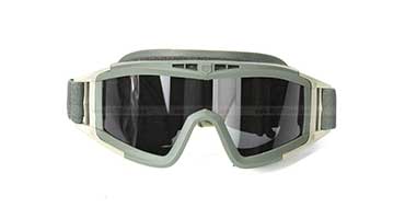 Desert Locust price in bd